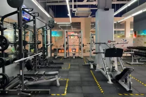 Fitness Studios Gym machines